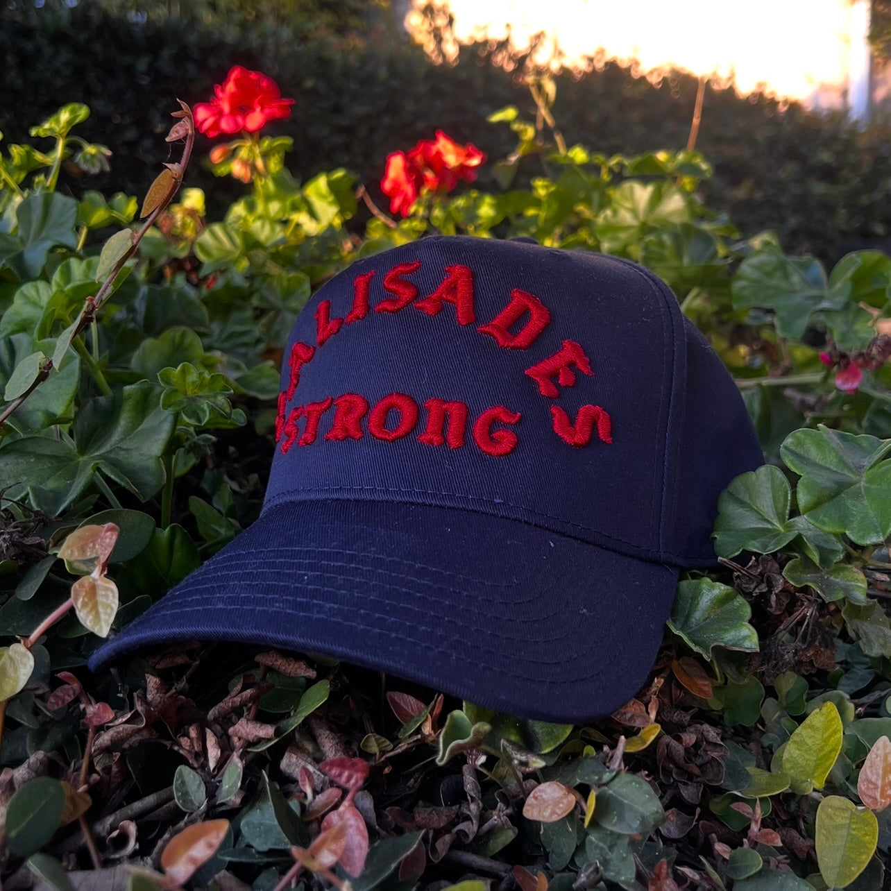 PALISADES STRONG PRO HAT (NAVY/RED)