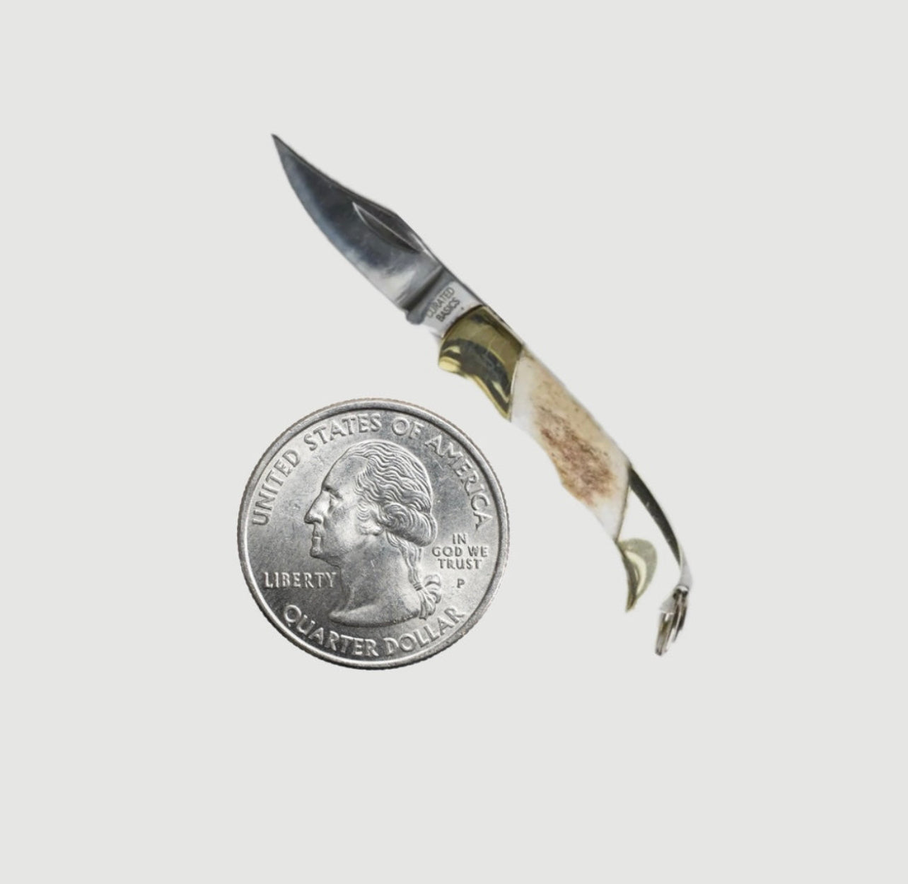 MINI KNIFE FOLDING KNIFE ATNLER BONE HANDLE