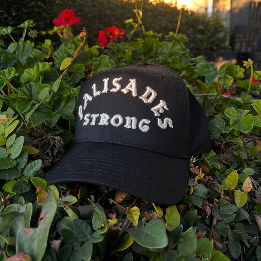 PALISADES STRONG PRO HAT (BLACK/IVORY)